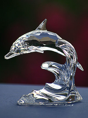 swarovski dolphin