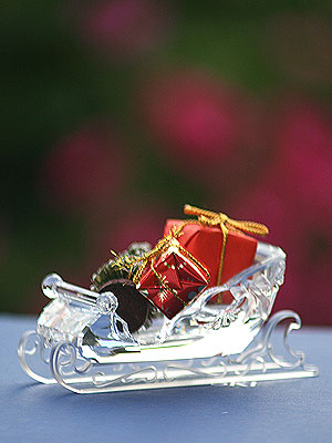 Swarovski Sleigh